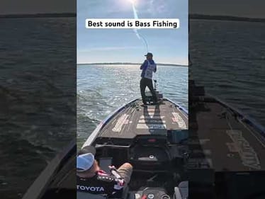 Best Sound in Fishing 🐸 #shorts