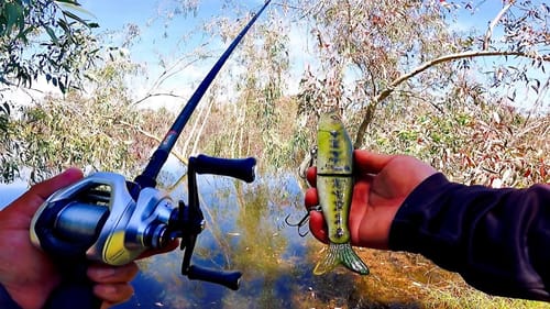 Throwing a Big Glide Bait in the Spring