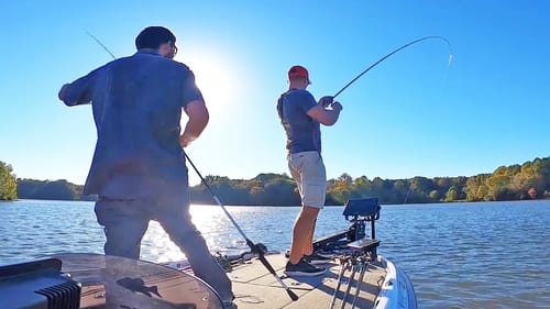 How To Catch Bass On TOPWATER SPOOKS and RATTLE-TRAPS! (Lake Guntersville)