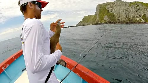 Pissed Off Bird ATTACKS Fisherman saving its Life!!!