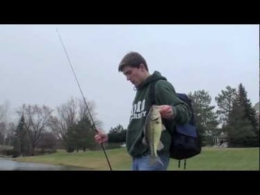 Late Decemeber Bass (Last of the season)