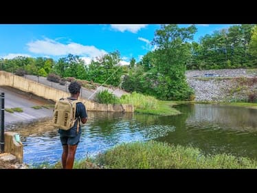 BFS Fishing Urban Ponds, Dams & Streams (Multi-Species)