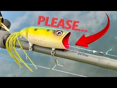 It Needs You to Pull the String. | Lure Review
