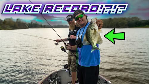 Fishing Milliken's Backyard Pond & Catching a MEGA BAG of Crappie!