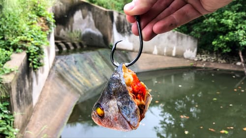 I RISKED $3000 Spillway Fishing and it COST ME!!!