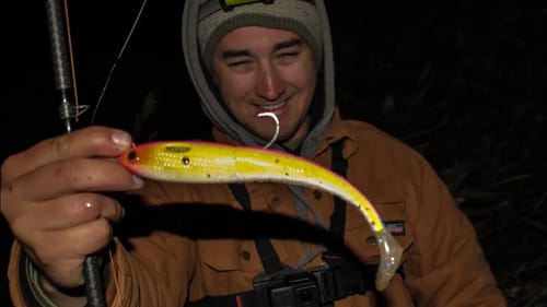 Giant 9" Swimbait I HATE Catches Fish of a Lifetime