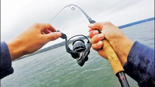 Hooked Up With A GIANT FISH! (INSANE FIGHT)