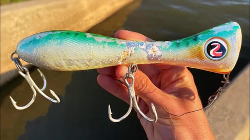 45 LB FRESHWATER FISH  on a GIANT POPPER!