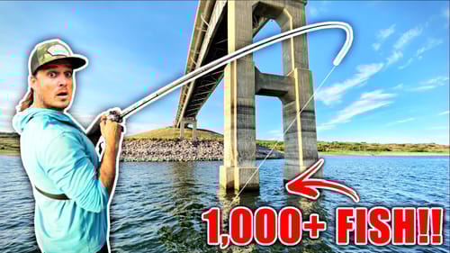 We found the MEGA SCHOOL hiding under this Massive Bridge! (Last Minute Heroics)