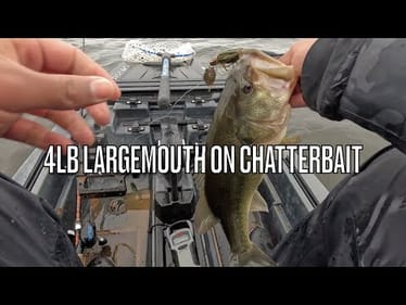 CAST TO CATCH: 4LBER ON CHATTERBAIT #shorts #fishing