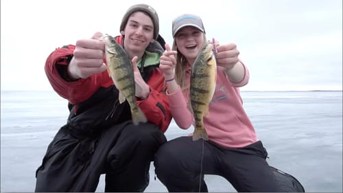 Perch Fishing on Lake Simcoe!