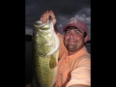 Two 8 pound bass. Largemouth bass fishing in Bama.