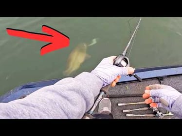 I WISH I had FISHED This LURE Sooner