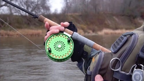 Chasing Fall Steelhead in Ontario!!