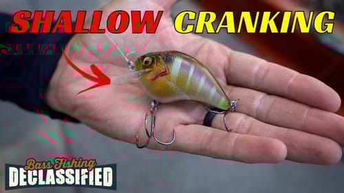 The Juiciest 10 Minutes of Shallow Cranking Instruction on YouTube