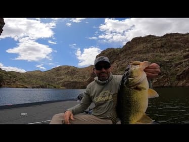 Dialed In Quick! How I Found Bass in Minutes!