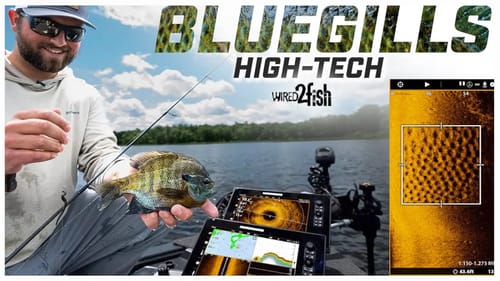 Bluegill Fishing Using Advanced Fish Finder Technology