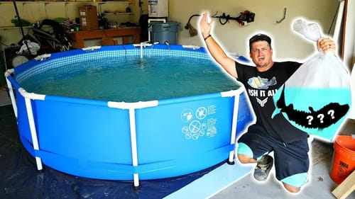Stocking RARE $300 Dinosaur into NEW Garage Pond!!!