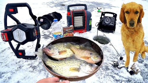 CATCH & COOK while Fishing w/ My Dog!! (DELICIOUS)