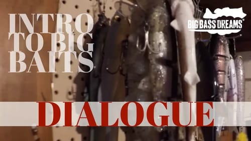Mark Neflas Intro to His Swimbait Fishing Dialogue