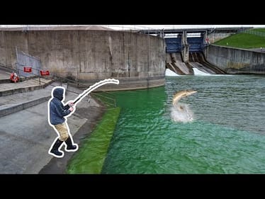 I Caught TWO DREAM River MONSTERS!!! (New PB x2!)