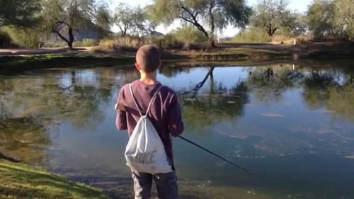 Catching Big Bass On Topwater