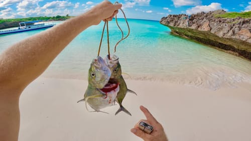 I Found the Honey Hole of Fishing keeping Fish for Food