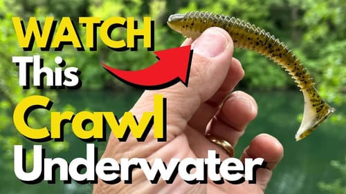 Discover a New Way to Fish Swim Baits