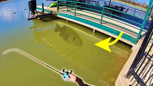 INSANE POND MONSTER in CRAZIEST POND EVER!!! (epic)