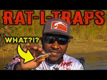 CRUSH Spring Bass w/ The BEST Rat-L-Trap Color + Tricks To Land More Fish
