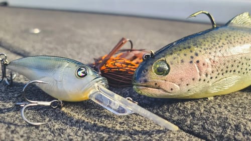How To Catch Your PB Bass Right Now!