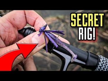 SNEAKY Ultralight Rig SMASHED Shallow Pond Bass!