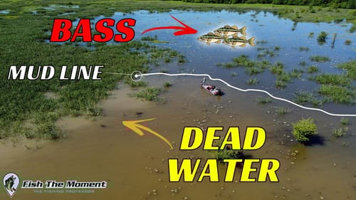 Look For THIS to Avoid Dead Water on Your Lake