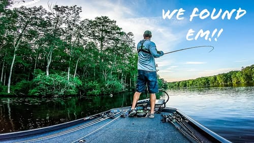 These LAST Minute CATCHES Put Us In the MONEY!!! || Decisions WIN Bass Tournaments!!