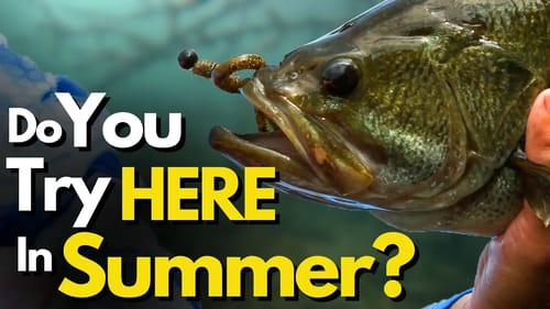 Top 4 Summer Spots to FIND Bass - I Always Look for These First