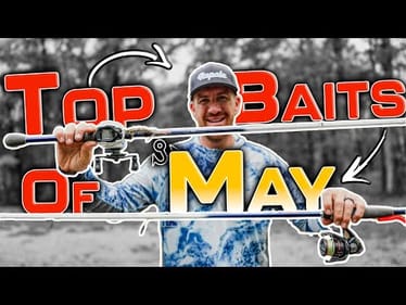 TOP BAITS of the MONTH ( May 2025 Edition 4K )