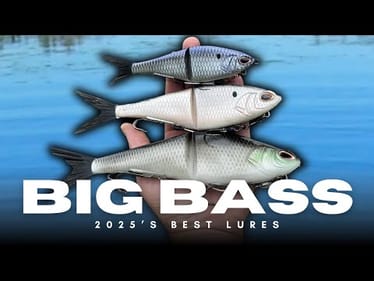These Were My Most Productive Big Bass Lures of 2025! 