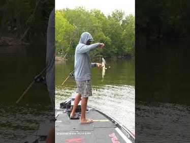 Finding More Confidence in Glide Baits Every Time I Throw Them.