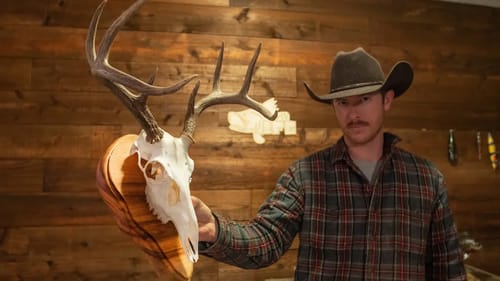 DIY Euro Deer Mount ( Exotic Tigerwood Base)