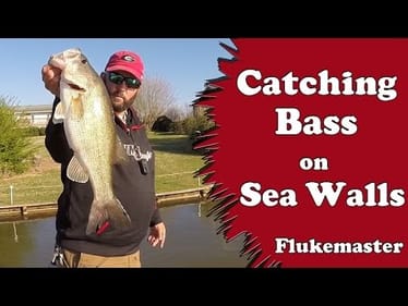 Bass Fishing on Sea Walls and Bulkheads