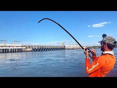 GIANT CATFISH  from BEHIND THE DAM!