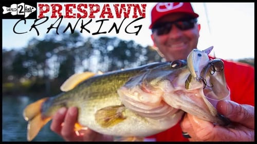 2 Crankbait Strategies for Prespawn Bass