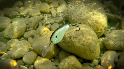 Fishing with Deep Diving Crankbaits