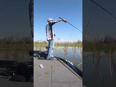 Fishing a Worm 🪱 for BIG BASS on the Harris Chain! #shorts #bassfishing #harrischain