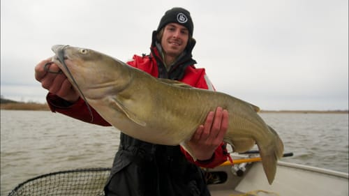 Fishing for Channel Catfish with Cut Bait!