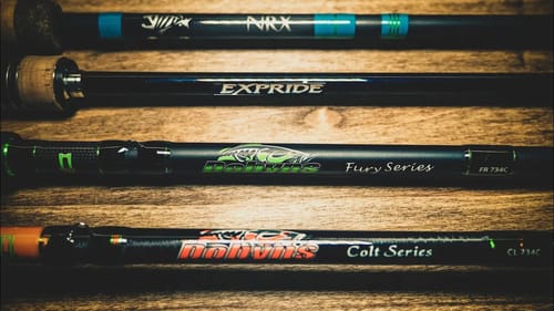 Cheap Vs. Expensive - Best Fishing Rods