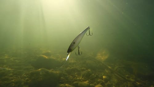 Power Fishing Jerkbaits in Cold Water