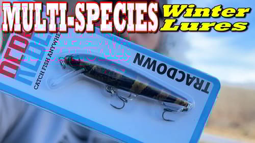 BassGeek Goes Multi-Species