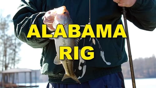 The Alabama Rig: Why It Works | Bass Fishing