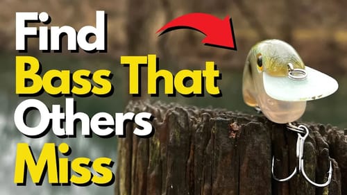 When to Use Flat Sided Crankbaits